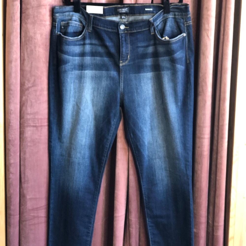 Judy Blue Handstand Skinny